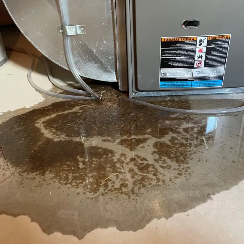 Pipe Burst and Leak Restoration in Michigan Center, MI