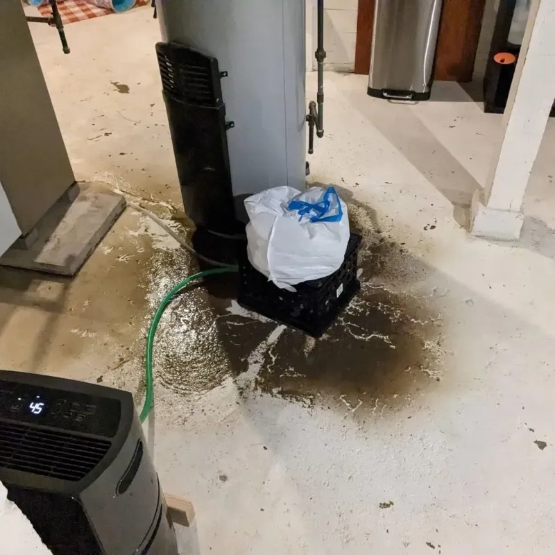 Sewage Backup Cleanup Service in Michigan Center, MI